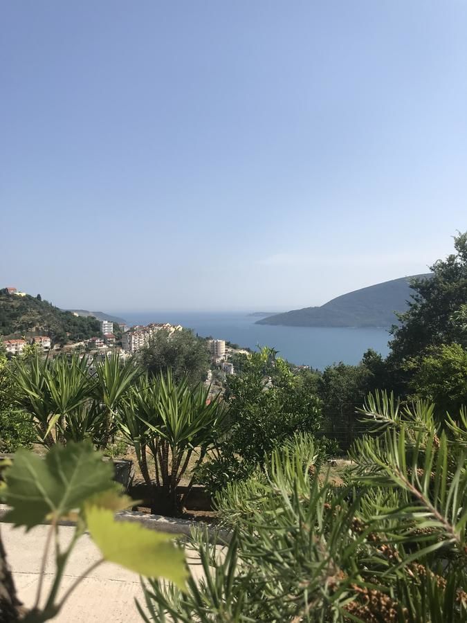 Гостевой дом Apartmani Kristina Херцег-Нови-13