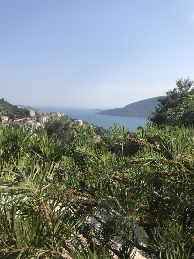 Гостевой дом Apartmani Kristina Херцег-Нови-12