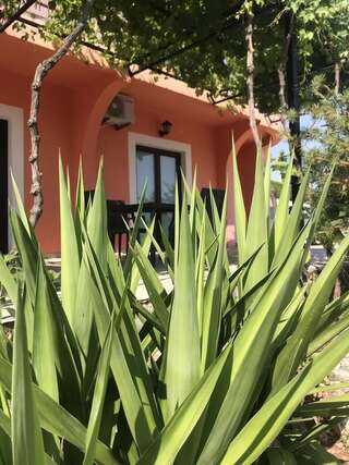 Гостевой дом Apartmani Kristina Херцег-Нови-3