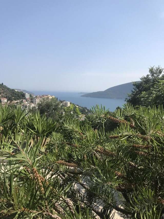 Гостевой дом Apartmani Kristina Херцег-Нови-11